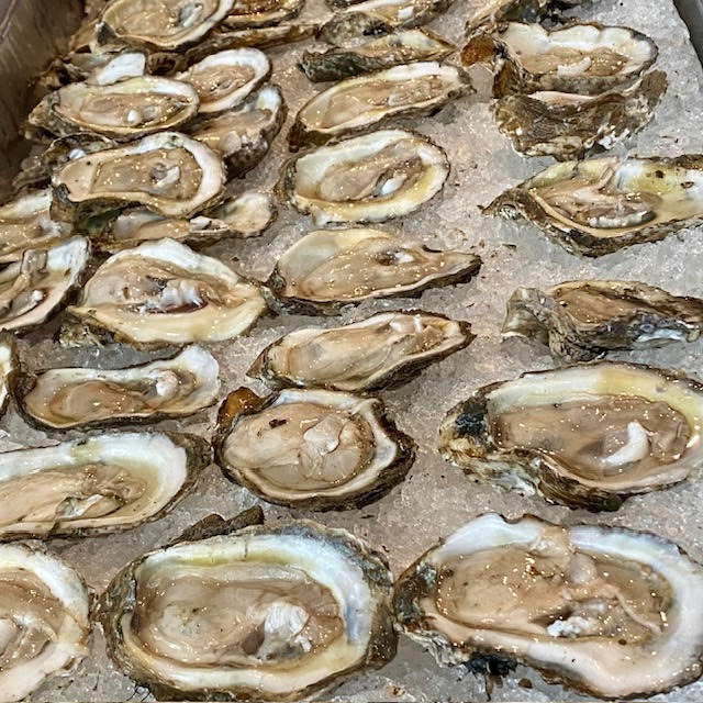 Saltine Bday Oysters